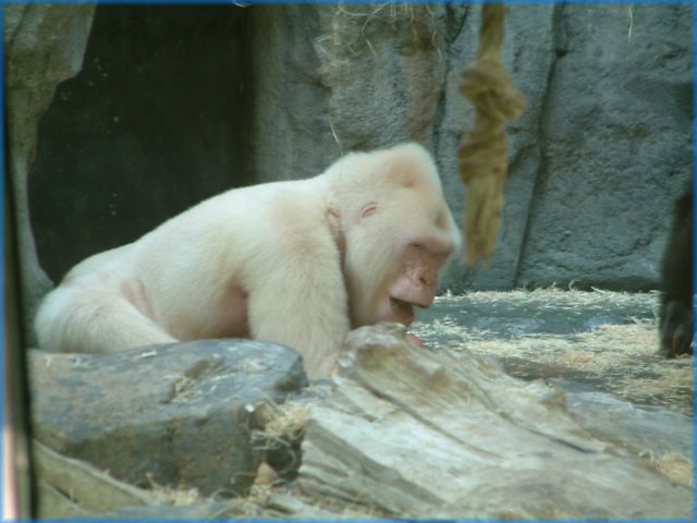 DSCF0142.JPG